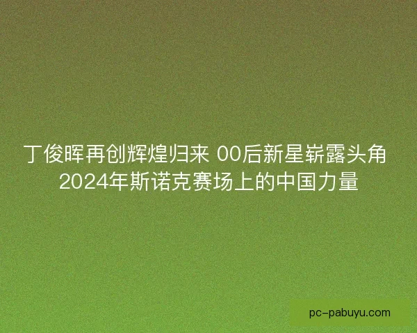 丁俊晖再创辉煌归来 00后新星崭露头角 2024年斯诺克赛场上的中国力量